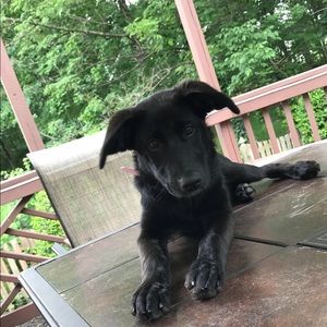 Meet your Posher, Chris